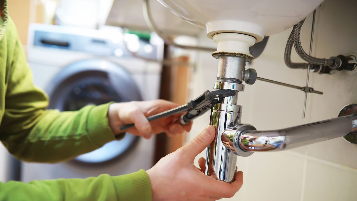 DIY vs. Professional Plumbing: When to Call a Pro